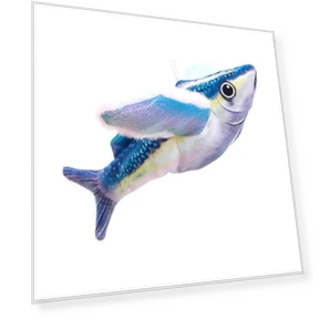 Interactive Flapping Wings Fish Cat Toy — Cat Playthings, All in Watch
