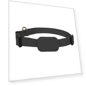 Mini GPS Tracker for Pets — Trackers, Actually lighting
