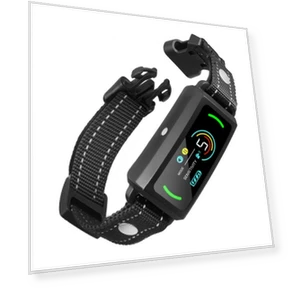 Smart Rechargeable Dog Anti-Barking Device — Anti-Bark Training Devices, VEVOR