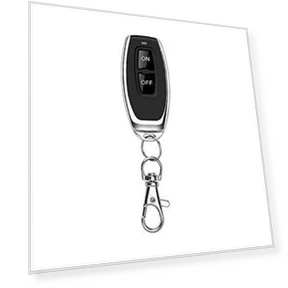 Wireless Remote Control DC Lock and Door Controller — Remote Controls, Golden Fern