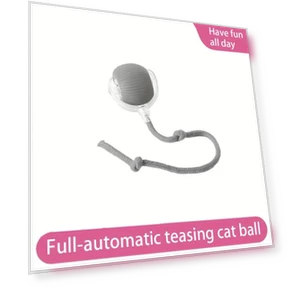Interactive Cat Toy Ball — Cat Playthings, Ventora