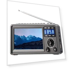 Portable HD Video Player with Bluetooth Speaker and Radio — Portable Media Players, LIAESMART