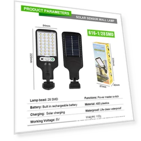 Solar COB Wall and Courtyard Sensor Lights — Outdoor Security & Flood Lighting, Polaris star