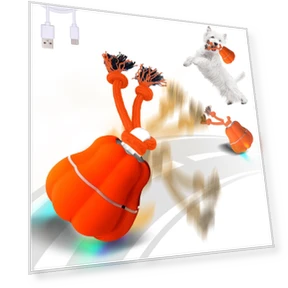 Automatic Rolling Pet Ball — Cat Playthings, sensenbeauty