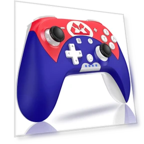 Wireless Controller Switch — Gaming Controllers, DOKI DOKI MARKET