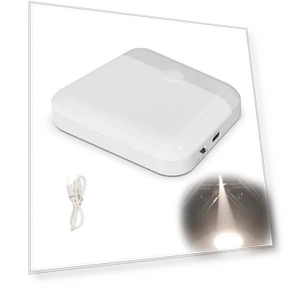 Rechargeable LED Motion Sensor Light — Garden Illumination, EdenGrow