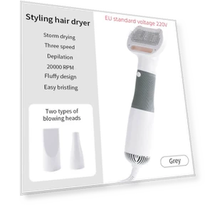 Multifunctional Pet Dryer — Dander Removers, Crown Global