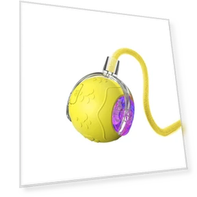 Rechargeable Automatic Rolling Ball Toy — Interactive Animal Companions, Boyuan