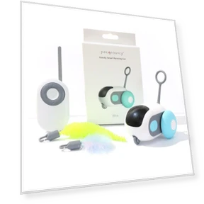 Smart Running Car Electric Remote Control Cat Toy — Cat Playthings, TAOMall