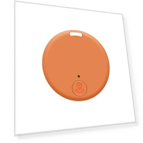 Wireless Bluetooth Tracker for Pets, Kids, and Activity Tracking — Item Locators, huangkundesign