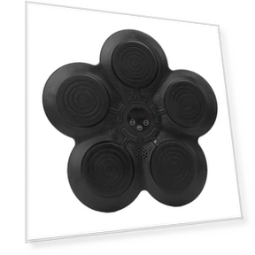 Smart Musical Boxing Trainer with Wall Target — Boxing Training Gear, Fishine