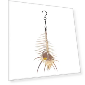 Smart Bird Feeder — Backyard Birding, Quatra