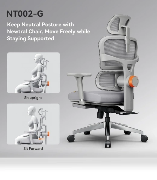 Ergonomic Chair with Adjustable Backrest, Armrest, Headrest, and Footrest - Grey — Desk Chairs, NEWTRAL