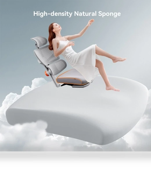 Ergonomic Chair with Adjustable Backrest, Armrest, Headrest, and Footrest - Grey — Desk Chairs, NEWTRAL