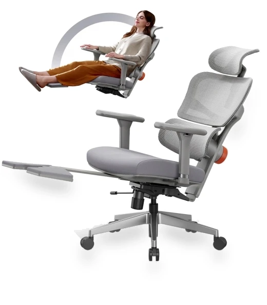 Ergonomic Chair with Adjustable Backrest, Armrest, Headrest, and Footrest - Grey — Desk Chairs, NEWTRAL