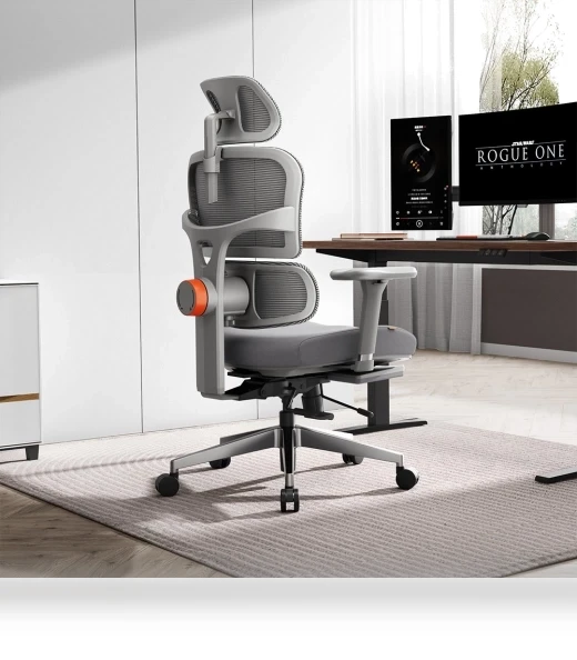 Ergonomic Chair with Adjustable Backrest, Armrest, Headrest, and Footrest - Grey — Desk Chairs, NEWTRAL