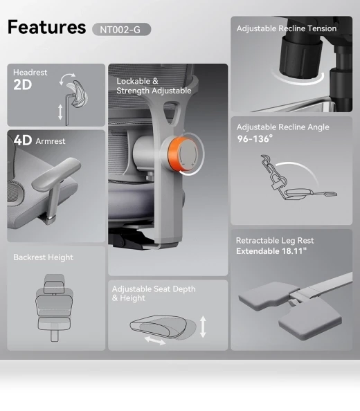 Ergonomic Chair with Adjustable Backrest, Armrest, Headrest, and Footrest - Grey — Desk Chairs, NEWTRAL