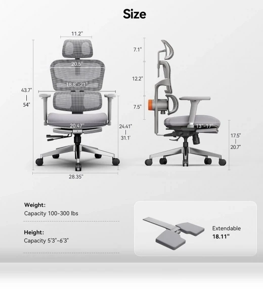 Ergonomic Chair with Adjustable Backrest, Armrest, Headrest, and Footrest - Grey — Desk Chairs, NEWTRAL