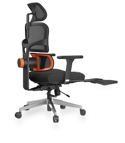 Ergonomic Chair with Lumbar Support, Adjustable Armrest, Headrest, Footrest, 4D Mesh — Desk Chairs, NEWTRAL