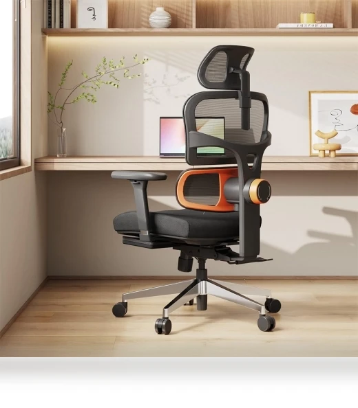 Ergonomic Chair with Lumbar Support, Adjustable Armrest, Headrest, Footrest, 4D Mesh — Desk Chairs, NEWTRAL