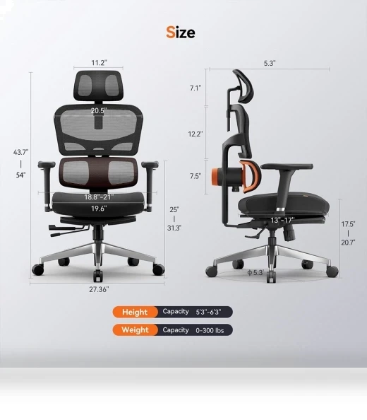 Ergonomic Chair with Lumbar Support, Adjustable Armrest, Headrest, Footrest, 4D Mesh — Desk Chairs, NEWTRAL