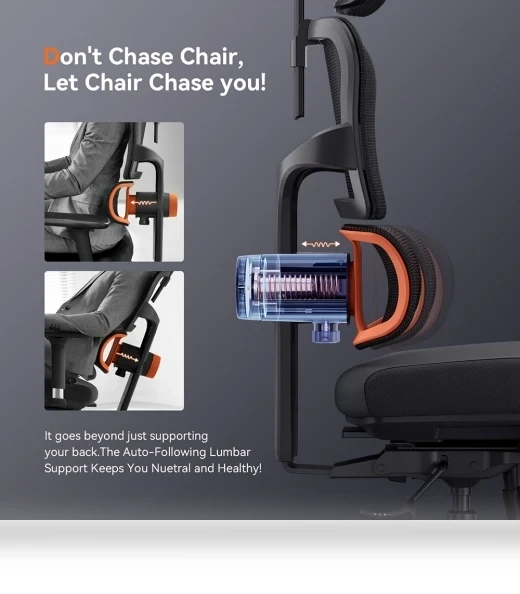 Ergonomic Chair with Lumbar Support, Adjustable Armrest, Headrest, Footrest, 4D Mesh — Desk Chairs, NEWTRAL