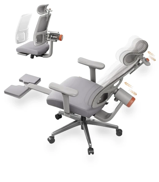 Ergonomic Chair with Footrest, Auto-Following Backrest Headrest, Adaptive Lower Back Support - Gray — Desk Chairs, NEWTRAL