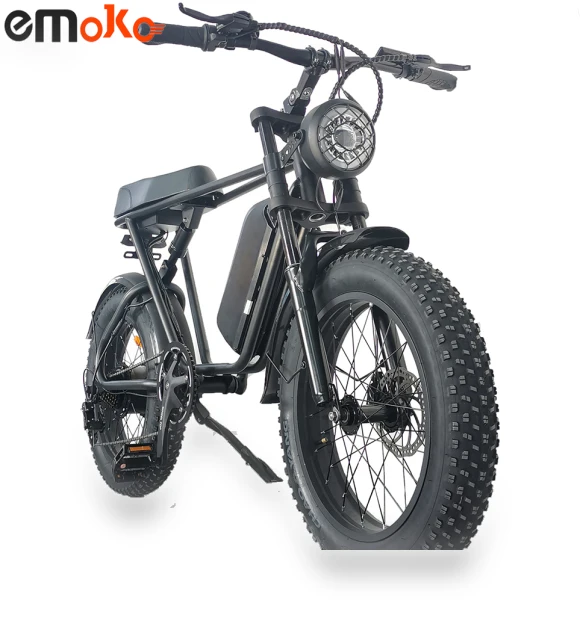 20 inch 4 Fat Tire Electric Bike — Electric Self-Balancing Scooters, Emoko