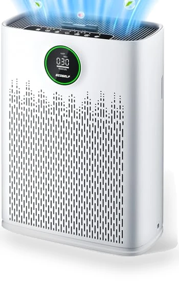 Smart Air Purifier for Large Rooms with PM2.5 Display and Aromatherapy — Electrostatic Air Purifiers, ECOSELF