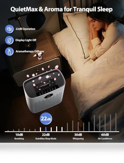 Smart Air Purifier for Large Rooms with PM2.5 Display and Aromatherapy — Electrostatic Air Purifiers, ECOSELF