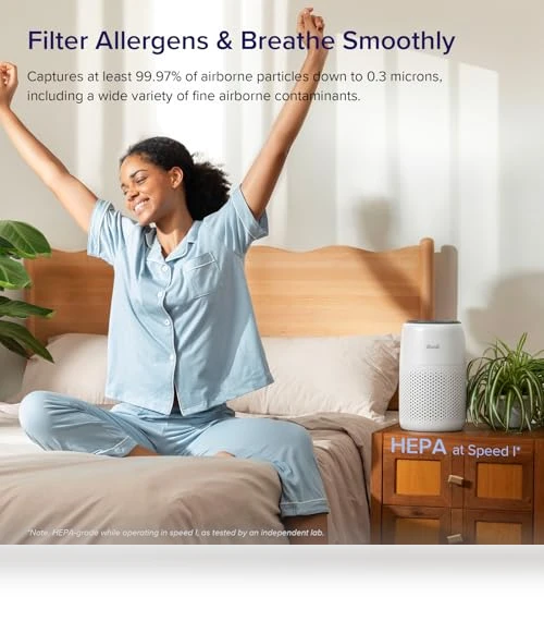 3-in-1 Air Purifier for Bedroom, Home, and Office — Air Purifier Components & Enhancements, LEVOIT