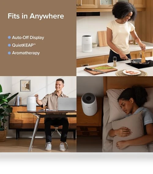 3-in-1 Air Purifier for Bedroom, Home, and Office — Air Purifier Components & Enhancements, LEVOIT