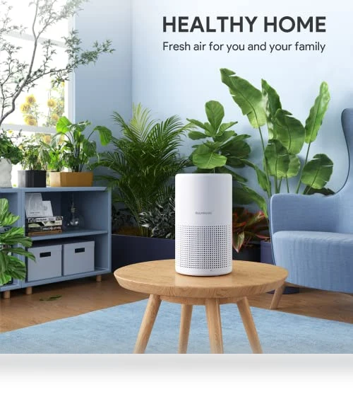 H13 True HEPA Air Purifier with Night Light — Electrostatic Air Purifiers, FULMINARE