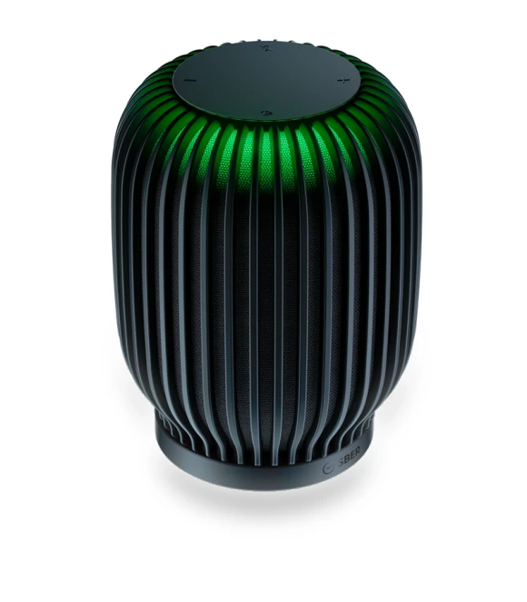 Smart Speaker — Portable Audio, Sber