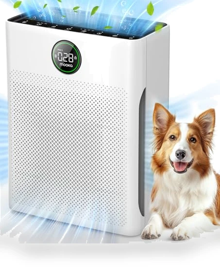 Large Room Air Purifier with Washable Filter and PM 2.5 Display — Electrostatic Air Purifiers, Mooka