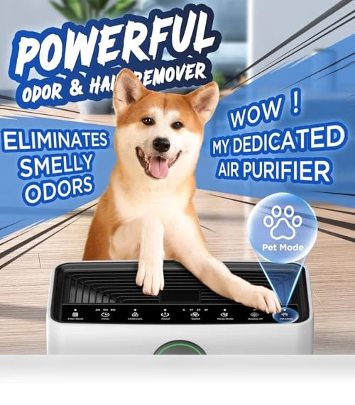 Large Room Air Purifier with Washable Filter and PM 2.5 Display — Electrostatic Air Purifiers, Mooka