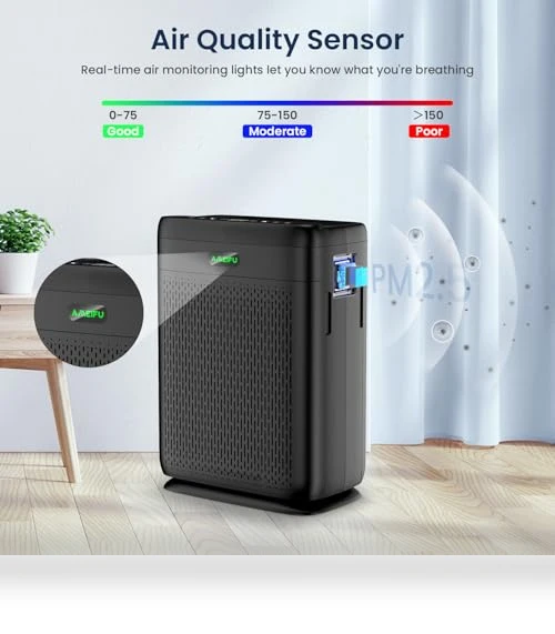 Large Room HEPA Air Purifier with PM 2.5 Display — Electrostatic Air Purifiers, AMEIFU