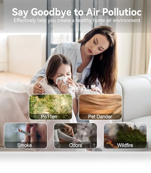 Large Room Air Purifier with H13 HEPA Filter for Pets, Smoke, and Odor — Electrostatic Air Purifiers, AIUZLK