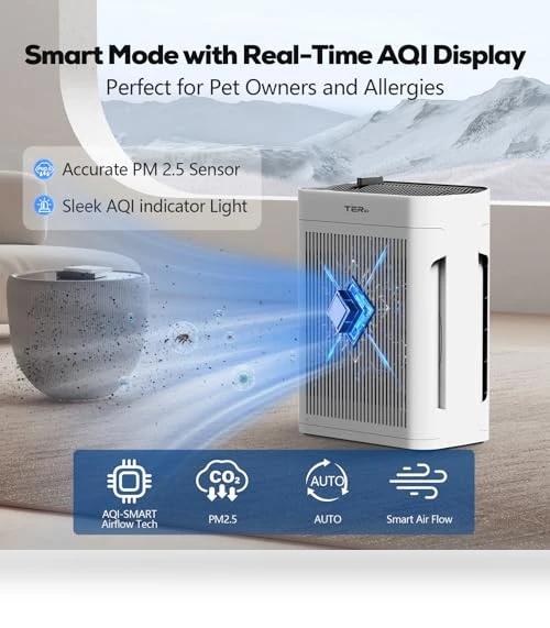 Large Room Air Purifier with H13 HEPA Filter and PM 2.5 Sensor — Electrostatic Air Purifiers, TERAIR