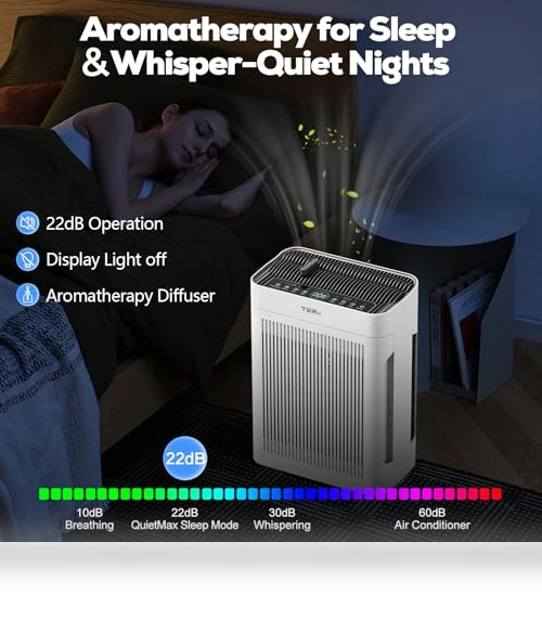 Large Room Air Purifier with H13 HEPA Filter and PM 2.5 Sensor — Electrostatic Air Purifiers, TERAIR