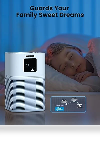 HEPA Air Purifier for Large Room up to 600 sq.ft with Fragrance Sponge — Electrostatic Air Purifiers, VEWIOR