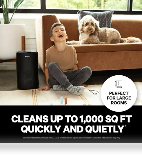HEPA Air Purifier for Large Rooms Up To 1,000 Sq Ft — Air Ionizers, PuroAir