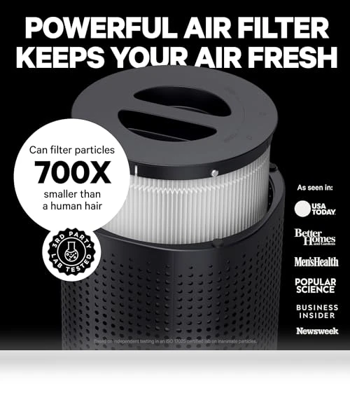 HEPA Air Purifier for Large Rooms Up To 1,000 Sq Ft — Air Ionizers, PuroAir