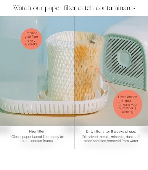 Bedside Humidifier - 36 HR Run Time, 2.5L Capacity, Aroma Diffuser — Air Moisturizers, Canopy
