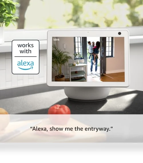 Home Security & Pet Camera with HD video, color night view, motion detection — Cameras & Monitors, Blink