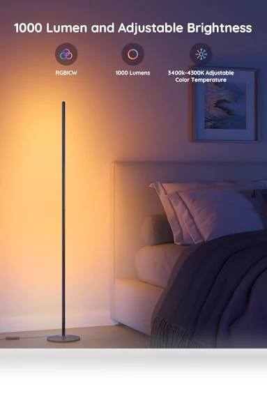 RGBIC Floor Lamp with Alexa, Music Sync, 16 Million Colors — LED, Govee