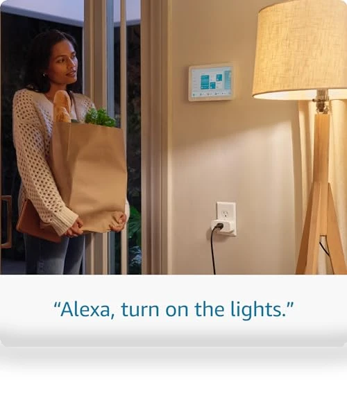 Smart Plug for Alexa | Voice Control Outlet — Mesh Wi-Fi Systems, Amazon