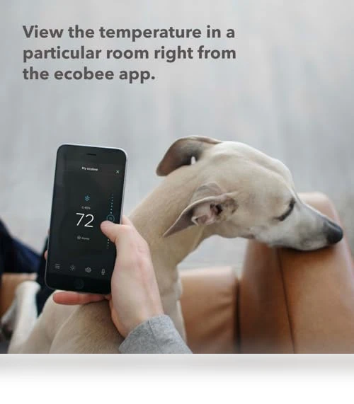 Smart Sensor 2 Pack - Comfort, Security, Energy Savings — Smart Home Security, ecobee