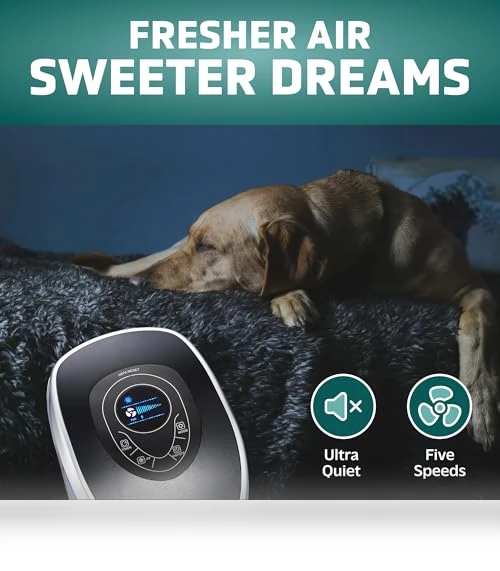 5-In-1 HEPA Air Purifier for Home, Large Rooms Up To 915 Sq. Ft. — Activated Carbon Air Purifiers, Guardian Technologies, LLC