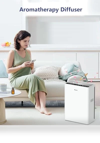 H13 HEPA Air Purifier for Large Rooms up to 2200 sqft with Fragrance Sponge and Timer — Activated Carbon Air Purifiers, VEWIOR